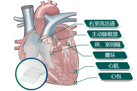 国产日韩精品欧美一区喷